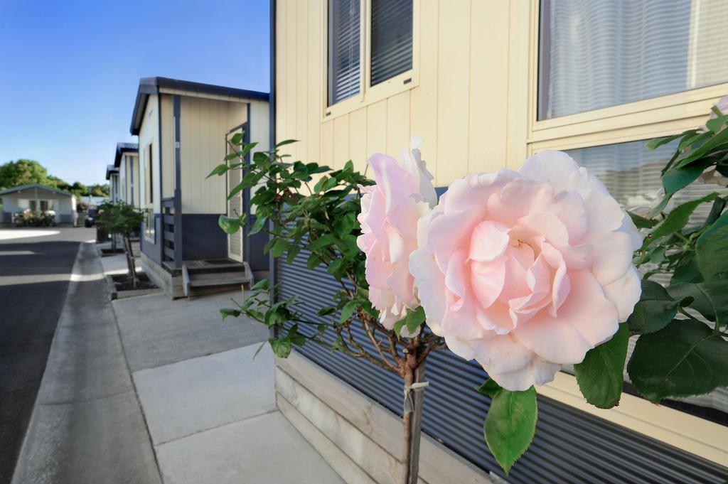 Apollo Bay Holiday Park Exterior photo